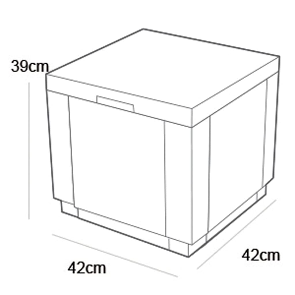 Keter Koelbox Ice Cube grafietkleurig