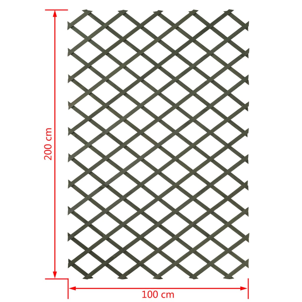 Nature Latwerk voor tuin 100x200 cm natuurlijk hout 6041703