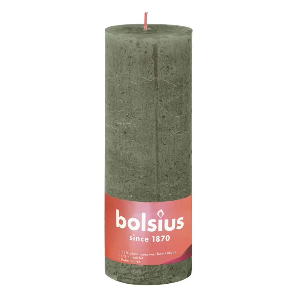 Bolsius Stompkaarsen Shine 4 st rustiek 130x68 mm