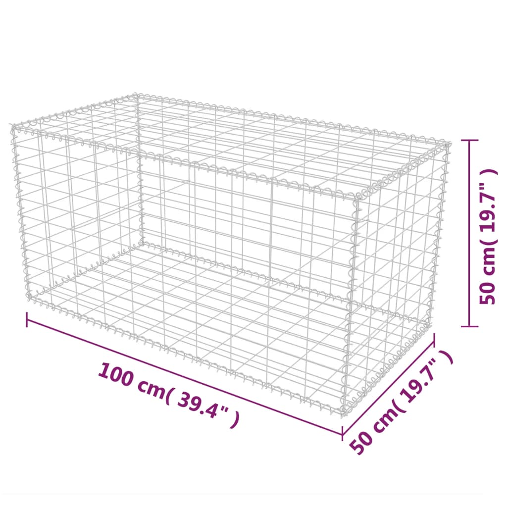 Gabion mand 100x50x100 cm gegalvaniseerd staal