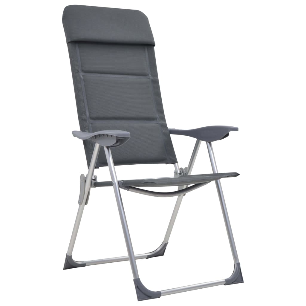 Campingstoelen 58x69x111 cm aluminium 2 st