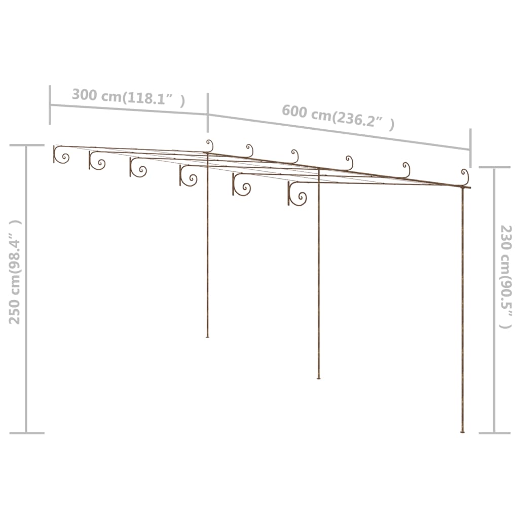 Tuinpergola 6x3x2,5 m ijzer antiekbruin