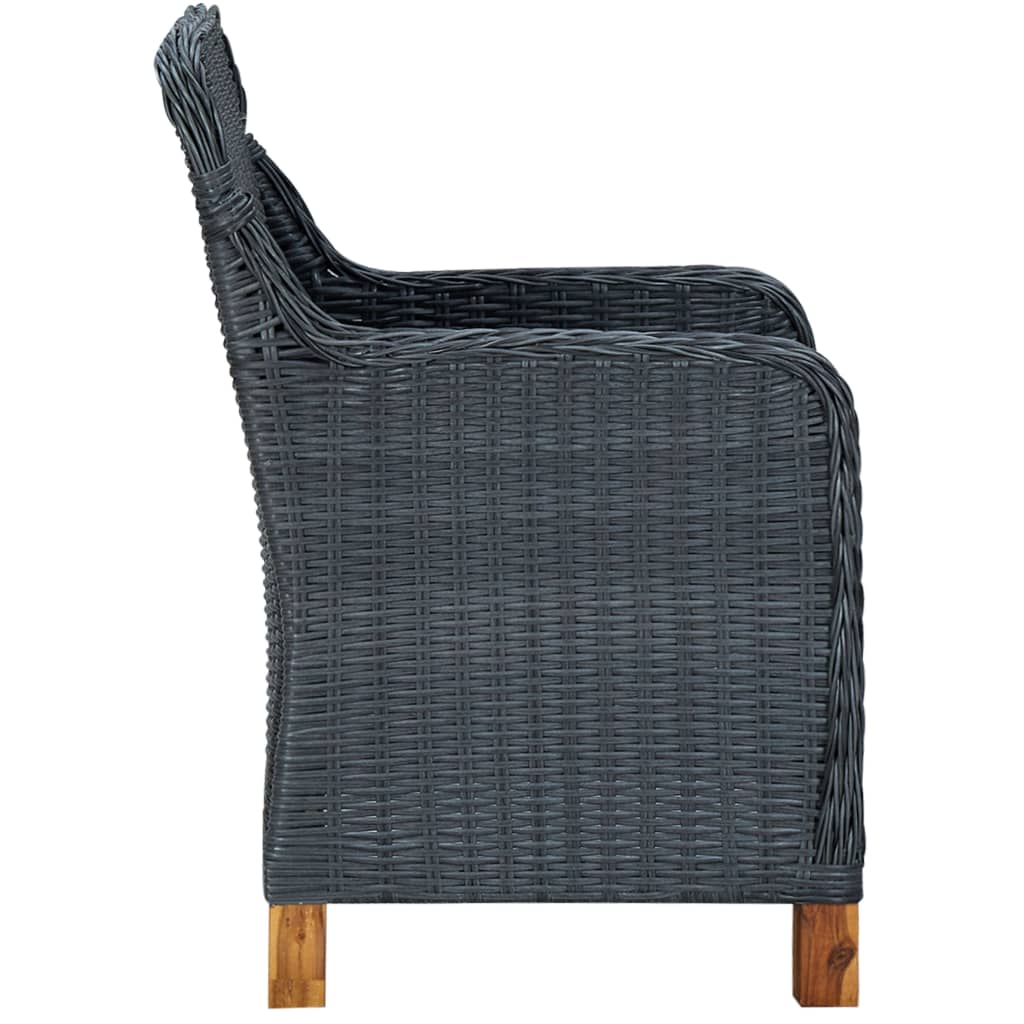 Tuinstoelen 2 st met kussens poly rattan