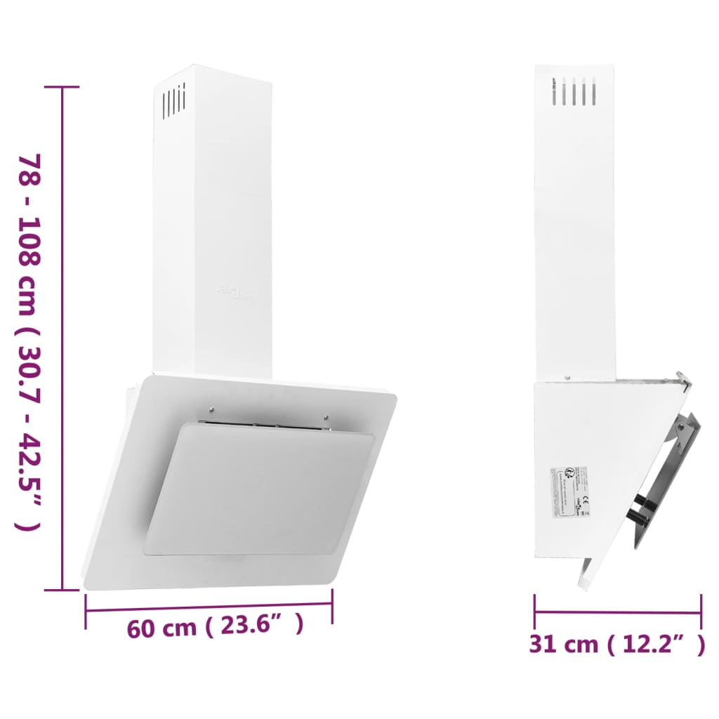 Wandafzuigkap 60 cm roestvrij staal en gehard glas