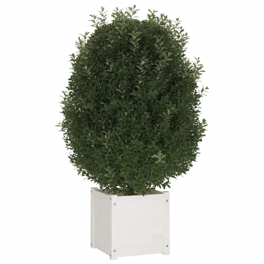 Plantenbak 40x40x40 cm massief grenenhout