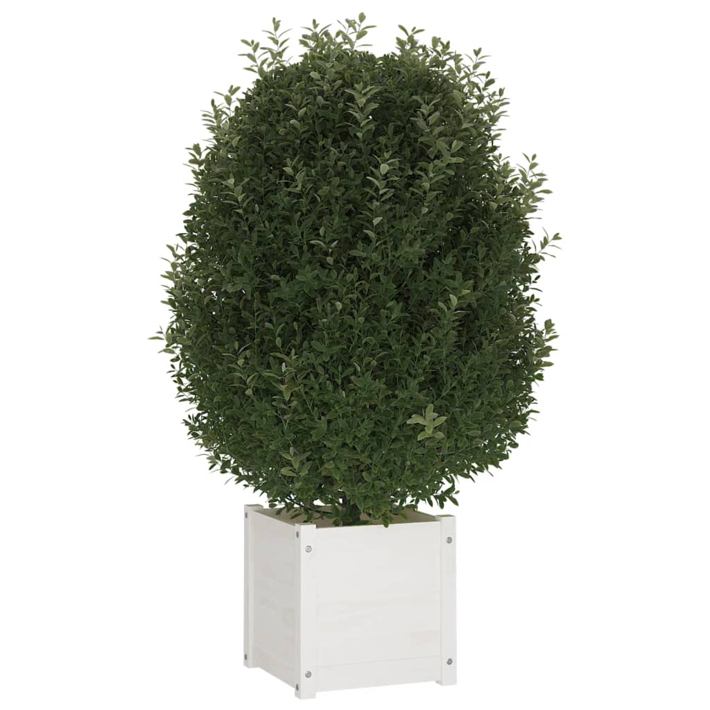 Plantenbak 40x40x40 cm massief grenenhout