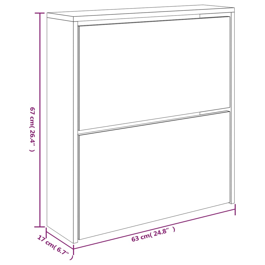 Schoenenkast met spiegel 2-laags 63x17x67 cm