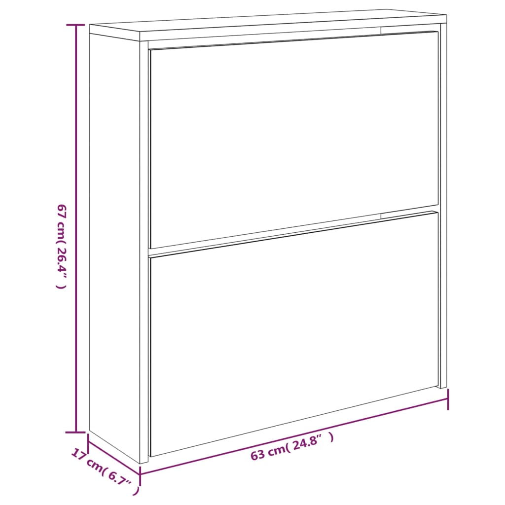 Schoenenkast met spiegel 2-laags 63x17x67 cm