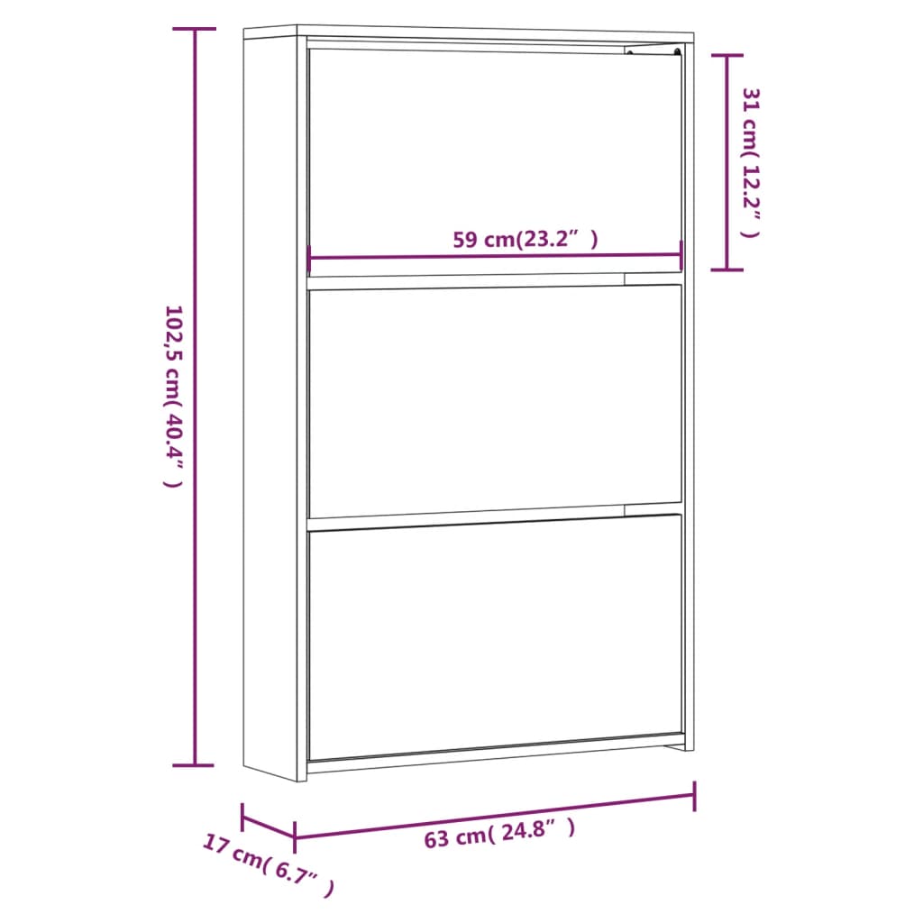 Schoenenkast met spiegel 2-laags 63x17x67 cm