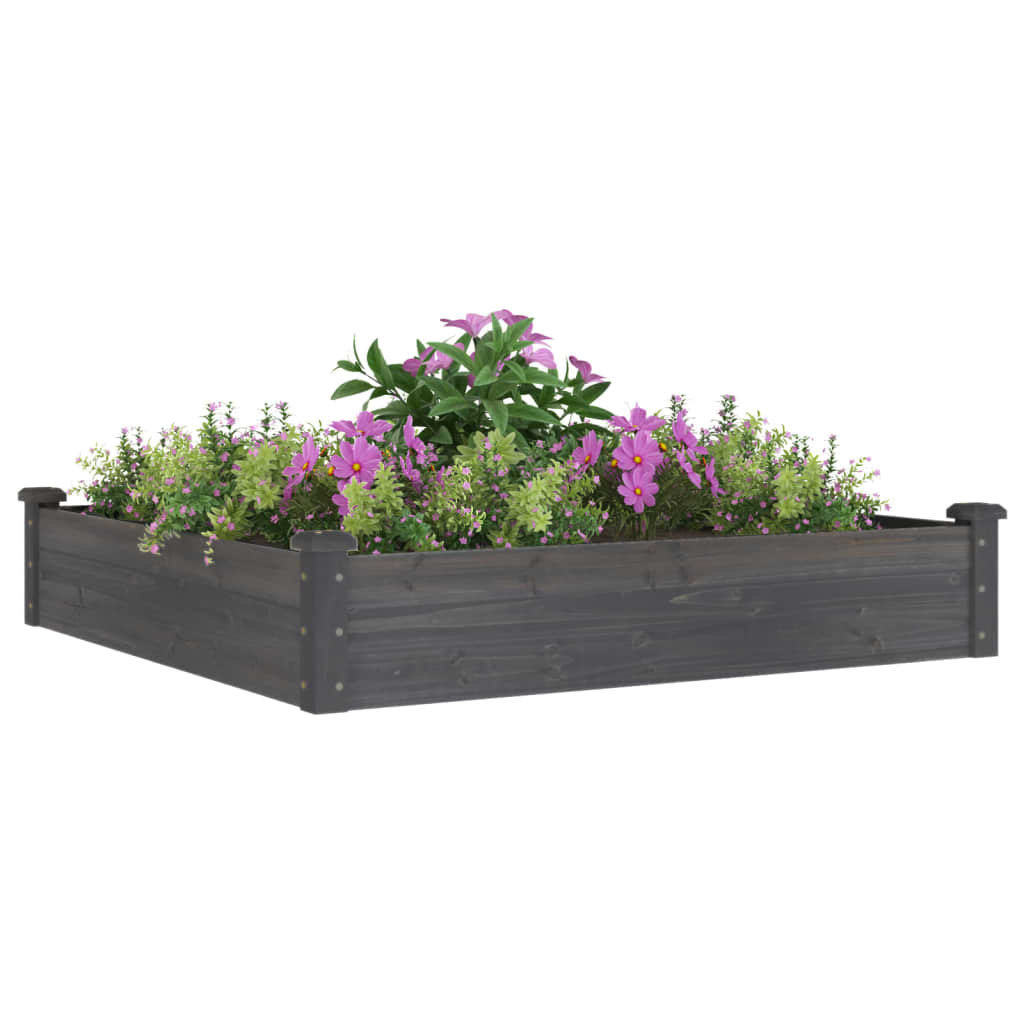 Plantenbak verhoogd met voering 240x120x25 cm massief vurenhout