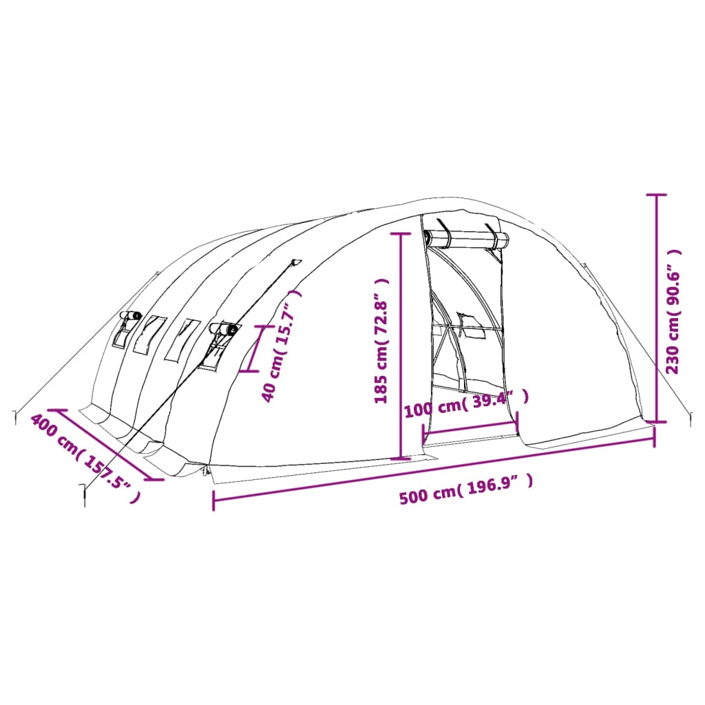 Tuinkas met stalen frame 30 m² 6x5x2,3 m