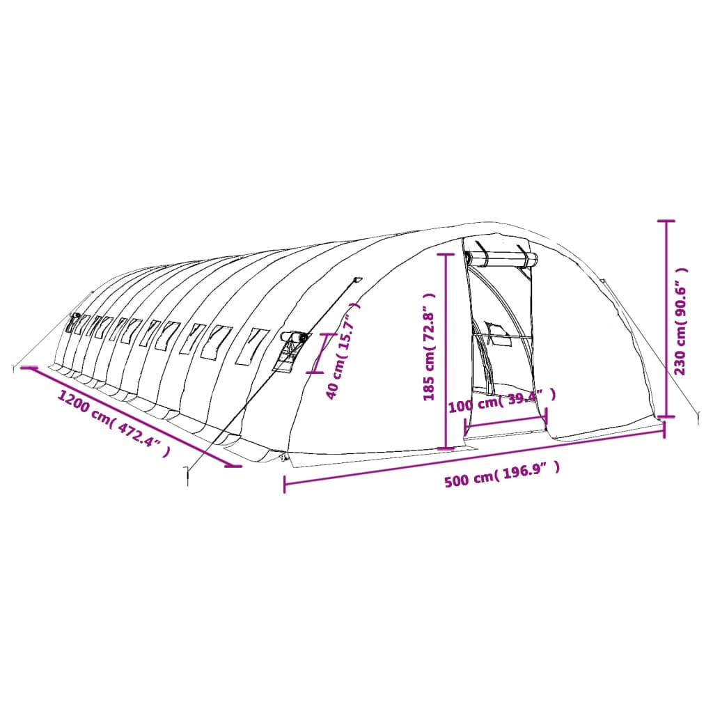 Tuinkas met stalen frame 30 m² 6x5x2,3 m