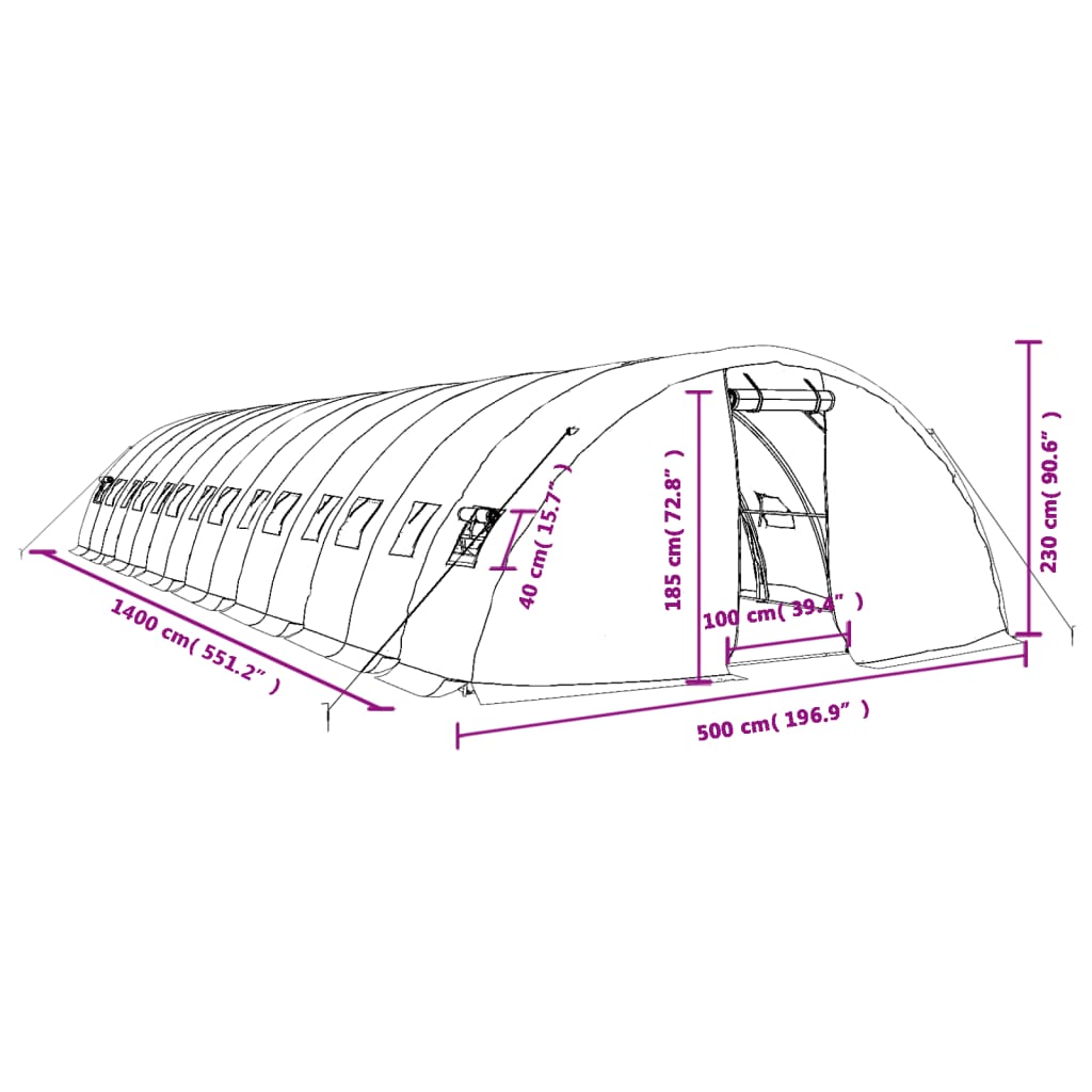 Tuinkas met stalen frame 30 m² 6x5x2,3 m