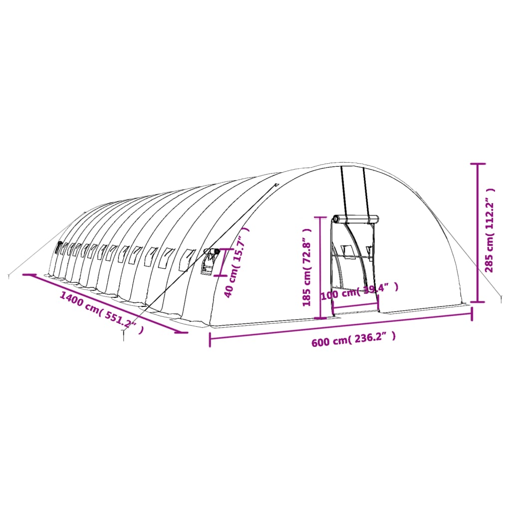 Tuinkas met stalen frame 132 m² 22x6x2,85 m