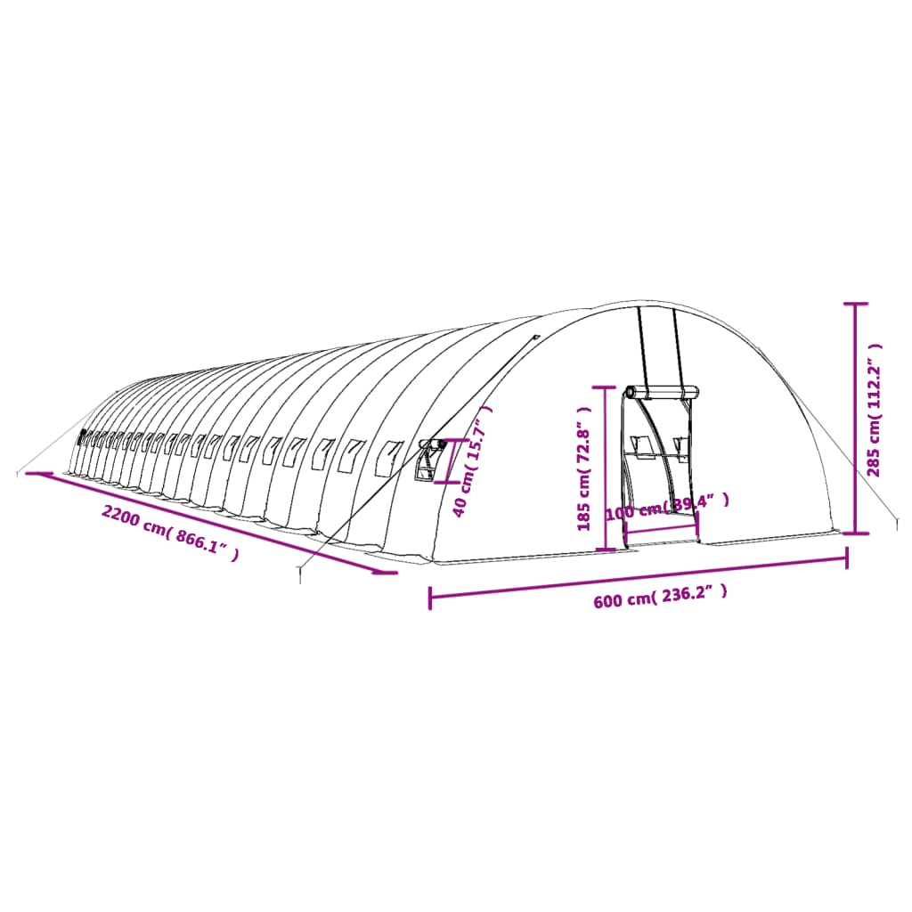 Tuinkas met stalen frame 132 m² 22x6x2,85 m