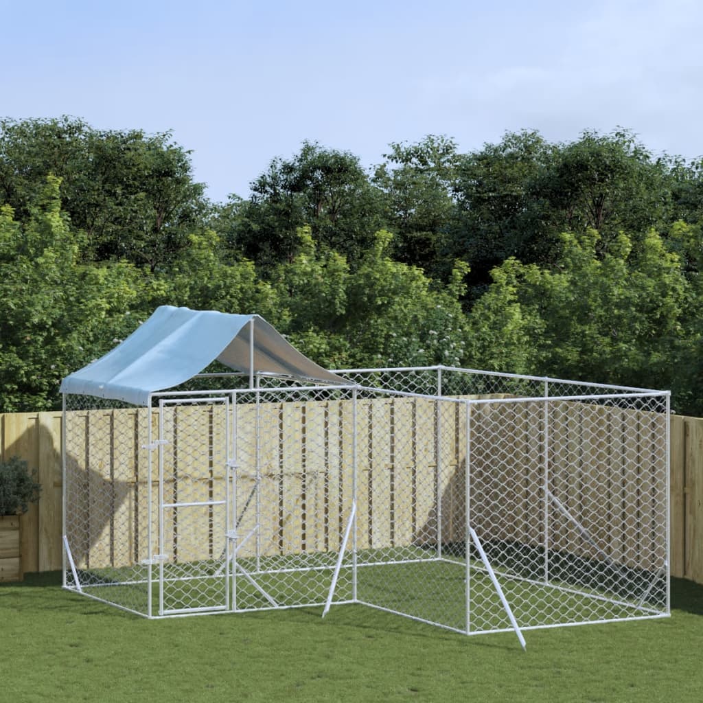 Hondenkennel met dak 10x6x2,5 m gegalvaniseerd staal zilver