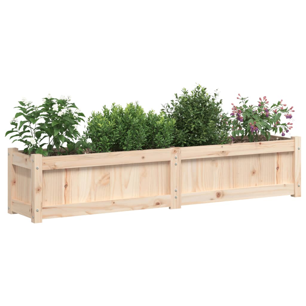 Plantenbak 150x31x31 cm massief