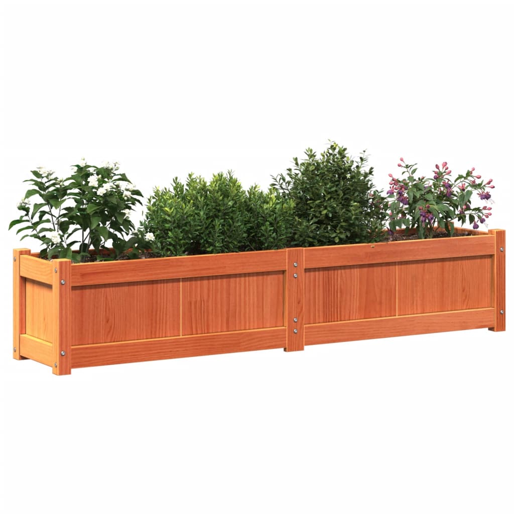 Plantenbak 150x31x31 cm massief