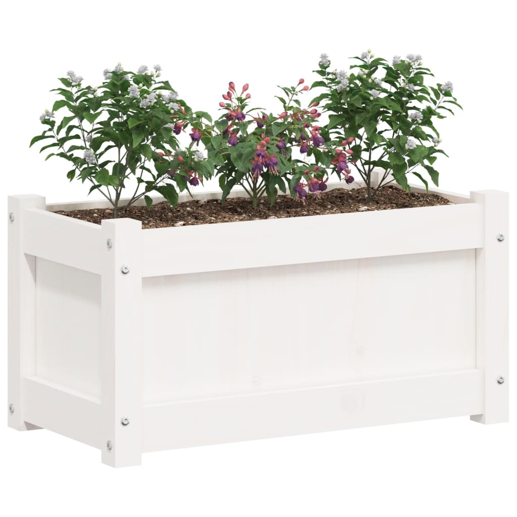 Plantenbak 60x31x31 cm massief wasbruin