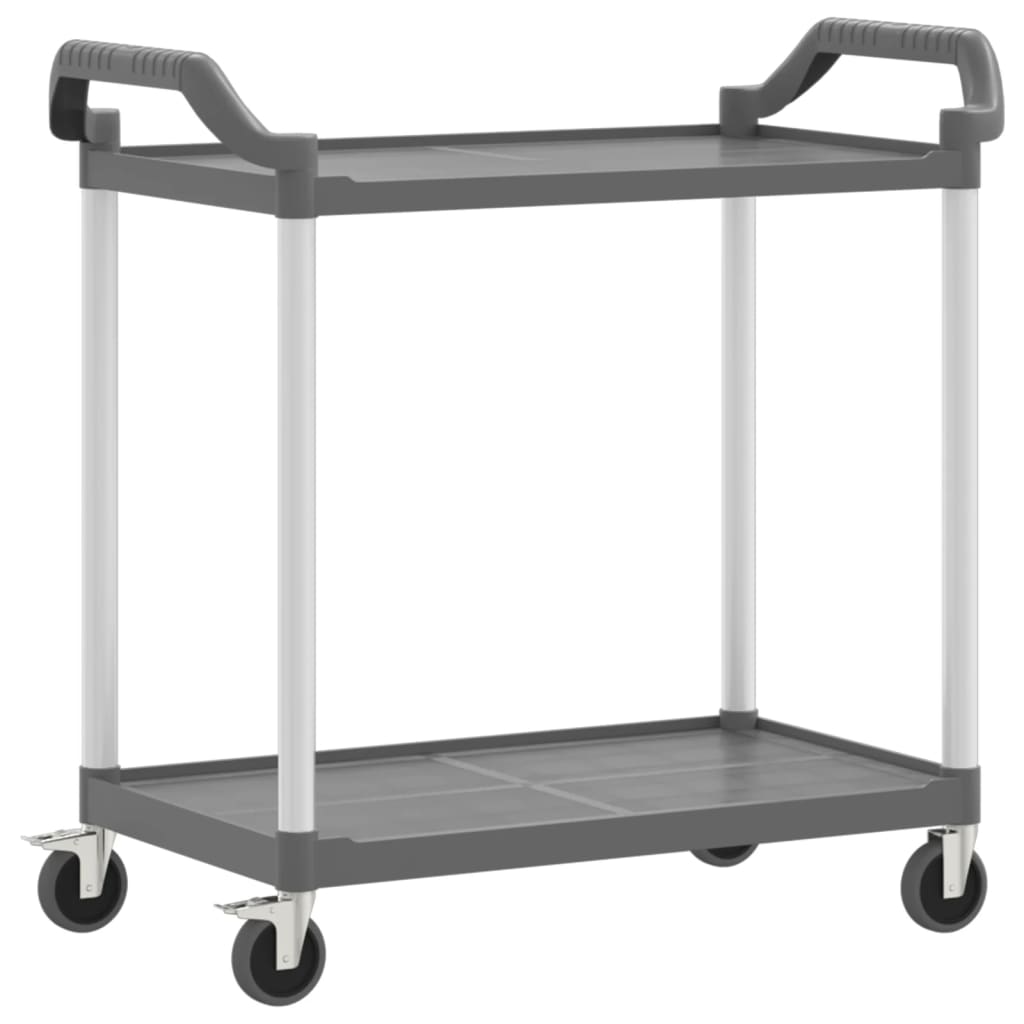 Trolley 2-laags 99x50x97 cm aluminium