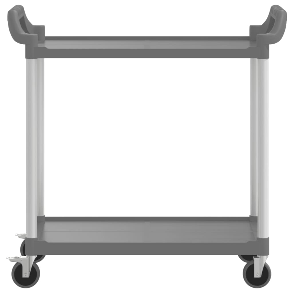 Trolley 2-laags 99x50x97 cm aluminium