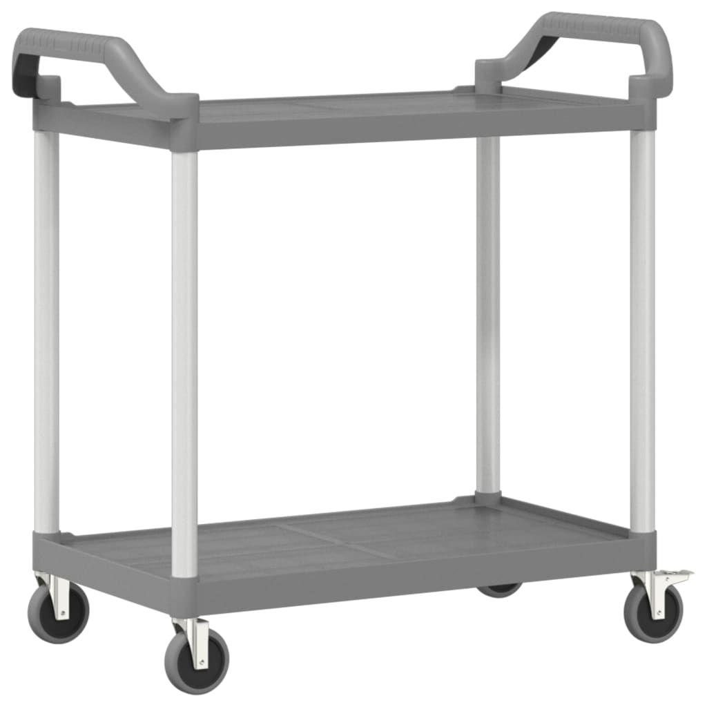 Trolley 2-laags 99x50x97 cm aluminium