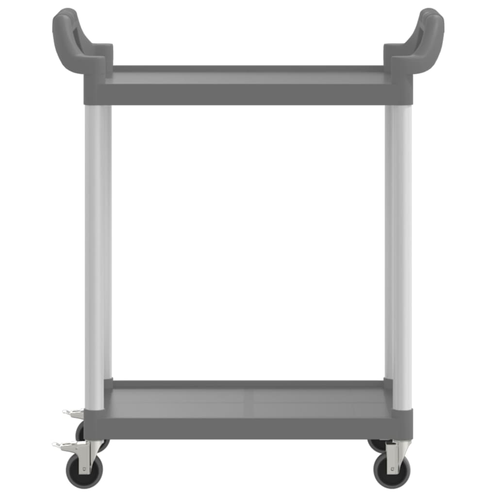 Trolley 2-laags 99x50x97 cm aluminium