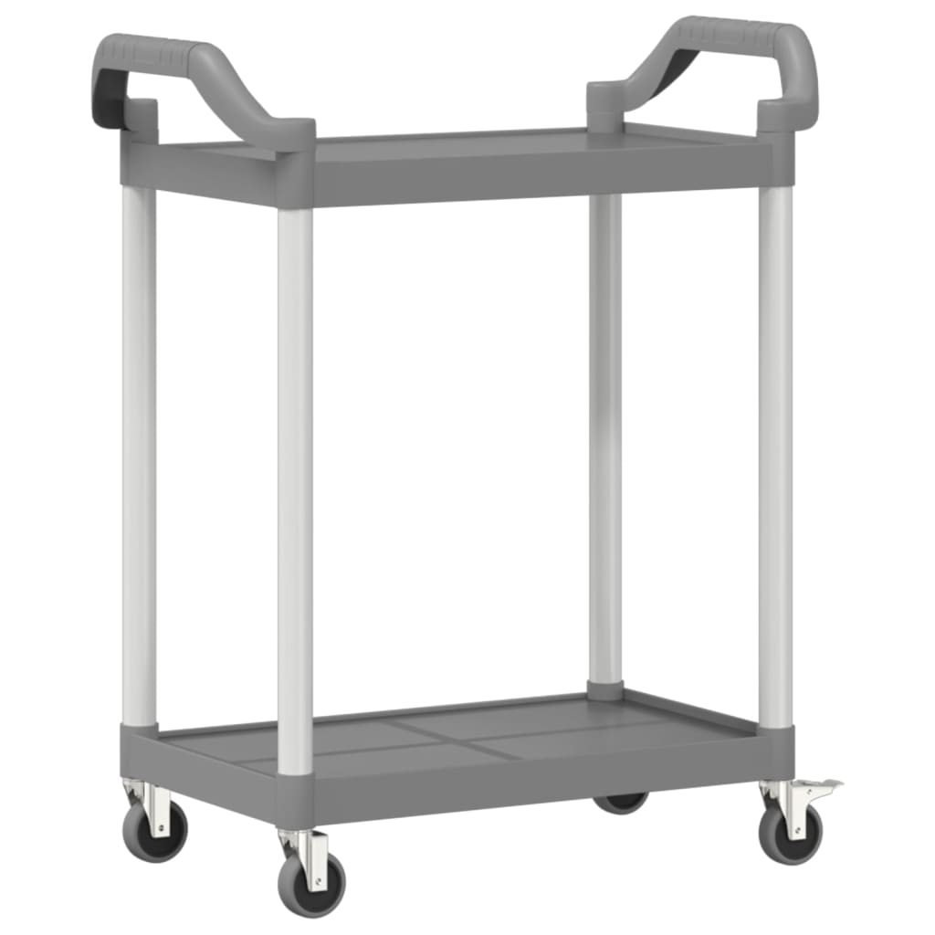 Trolley 2-laags 99x50x97 cm aluminium