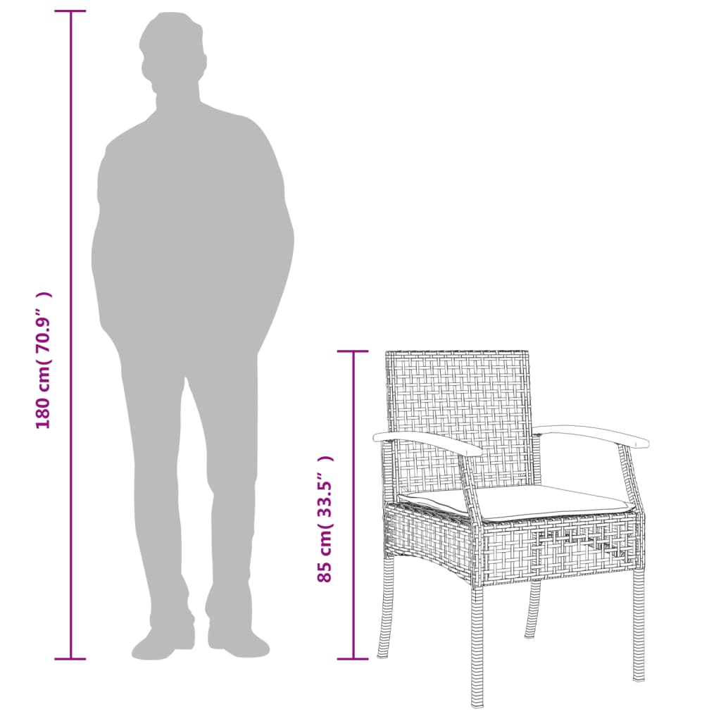 Tuinstoelen 2 st met kussens poly rattan en acaciahout