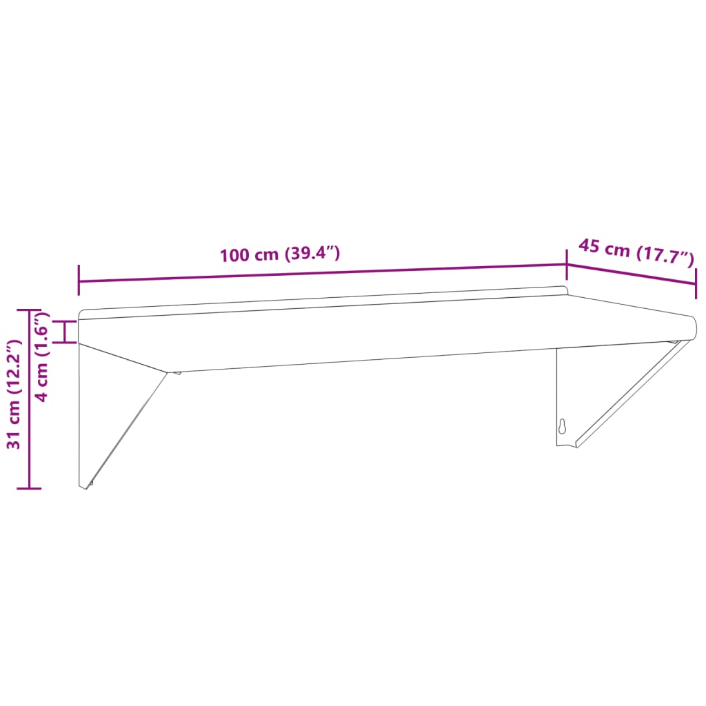 Wandschap 100x30x31 cm roestvrijstaal zilverkleurig