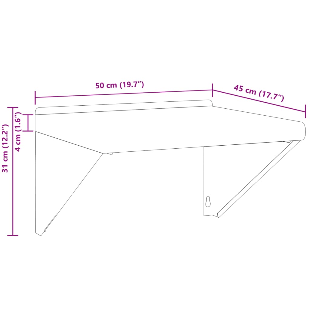 Wandschap 100x30x31 cm roestvrijstaal zilverkleurig