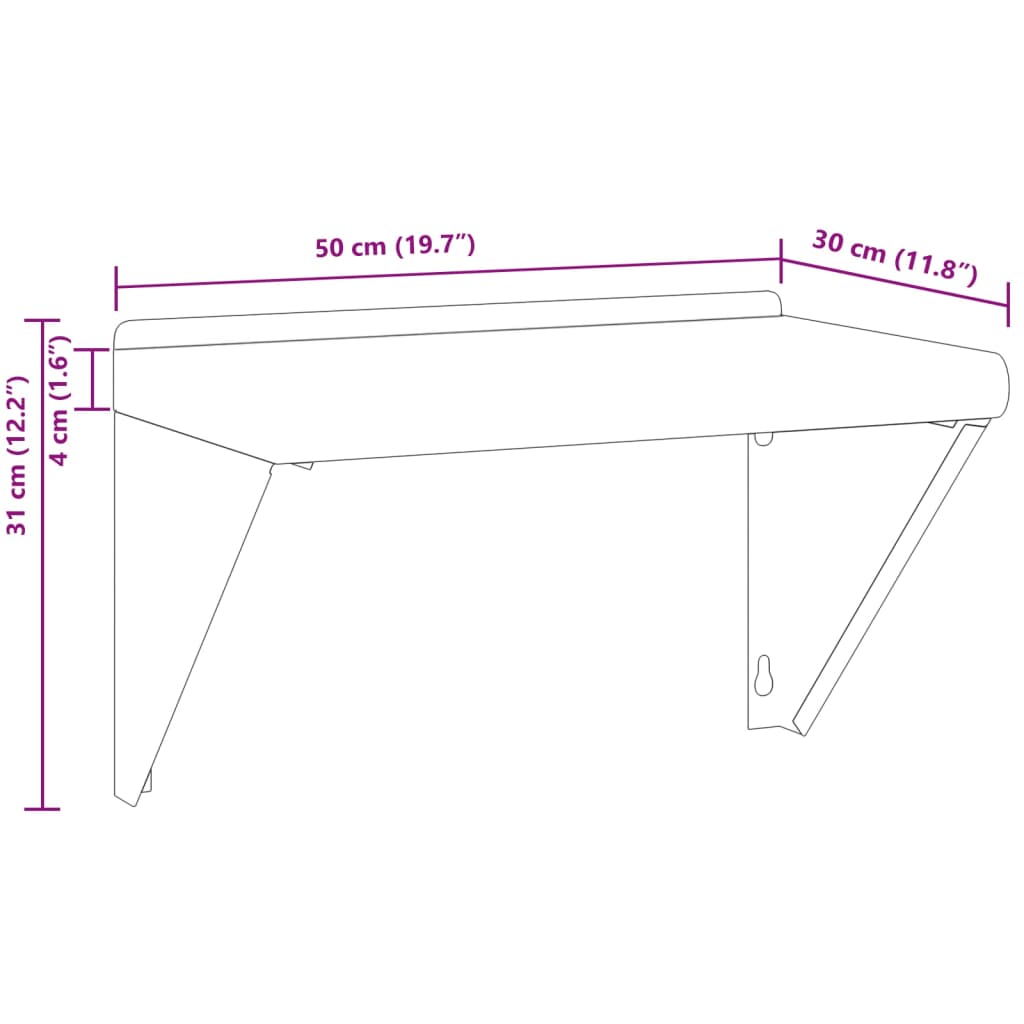 Wandschap 100x30x31 cm roestvrijstaal zilverkleurig