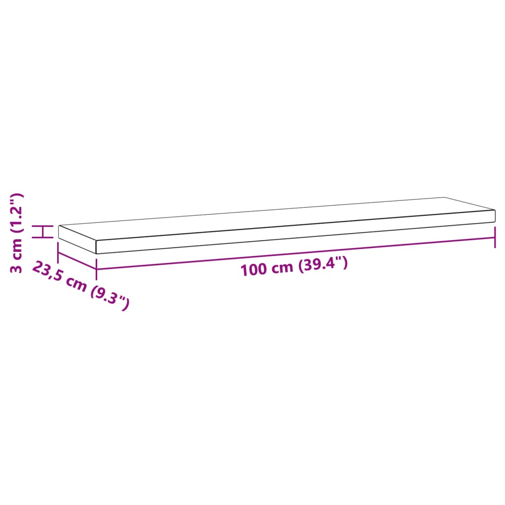 Wandschappen 2 st 100x23,5x3 cm roestvrijstaal zilverkleurig