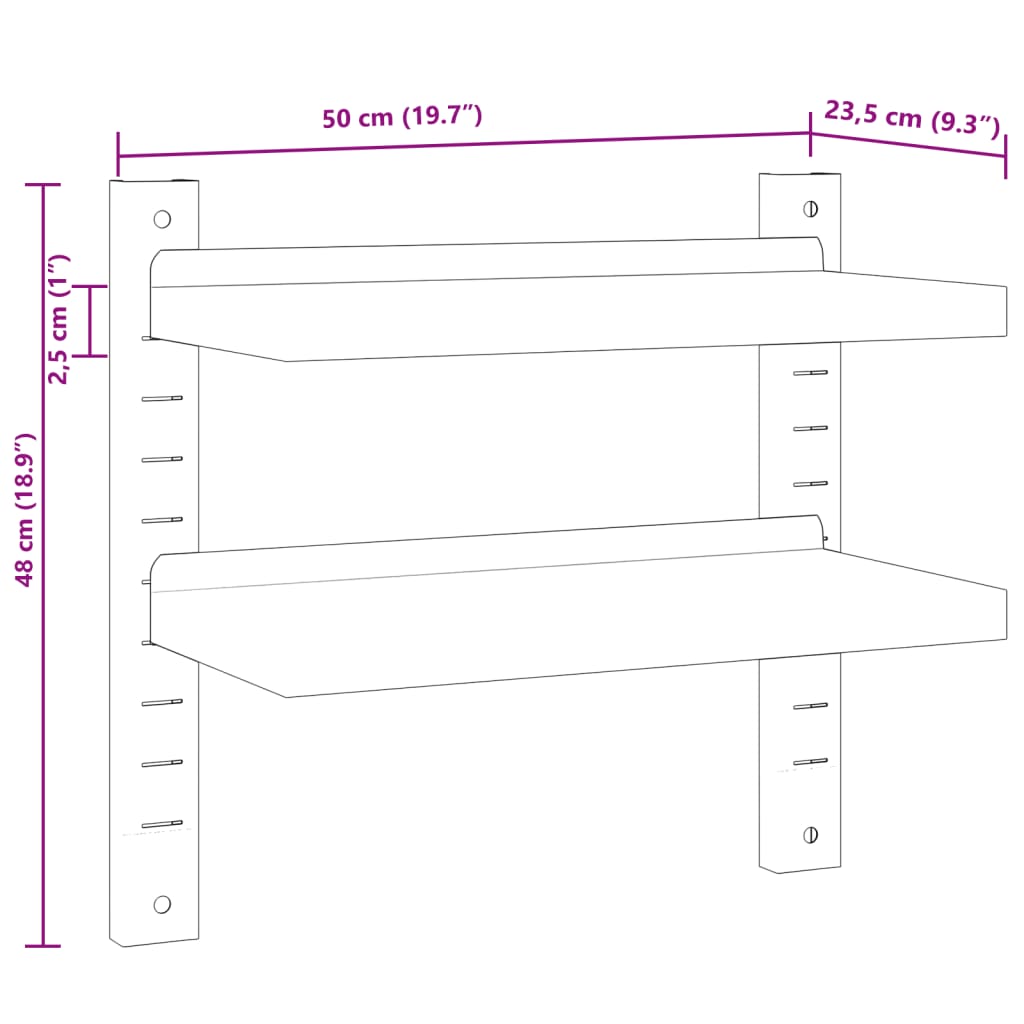 Wandschap 2-laags 100x40x60 cm roestvrijstaal zilverkleurig